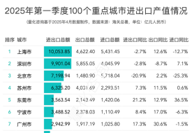 2025年第一季度進(jìn)出口貿(mào)易總額前100的城市排名