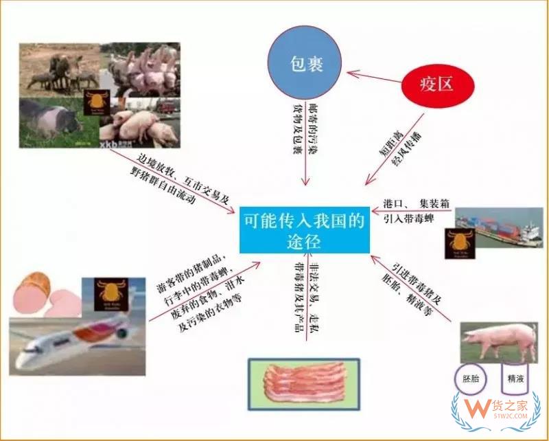 非洲豬瘟防控，你需要知道的在這里！貨之家