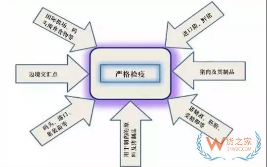非洲豬瘟防控，你需要知道的在這里！貨之家