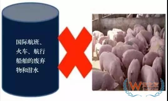 非洲豬瘟防控，你需要知道的在這里！貨之家