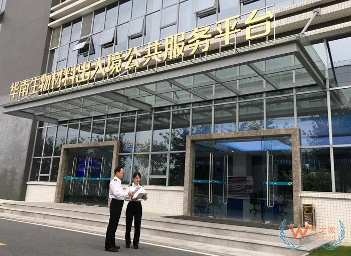 廣州海關：推動粵港澳跨境物流通道“物暢其流”-貨之家
