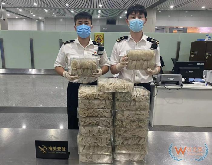福州海關查獲燕窩23盒,燕窩進口需要什么資質?