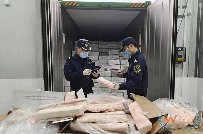 跨境走私瀕危物種，違法行為將受到嚴懲！-貨之家